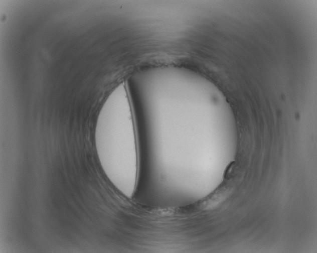 X0000062170624200512161252