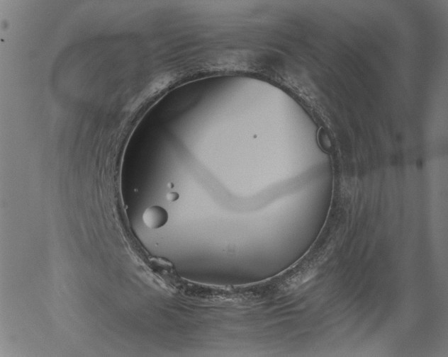 X0000062170625200512161252