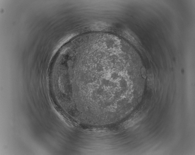 X0000062170626200512161252