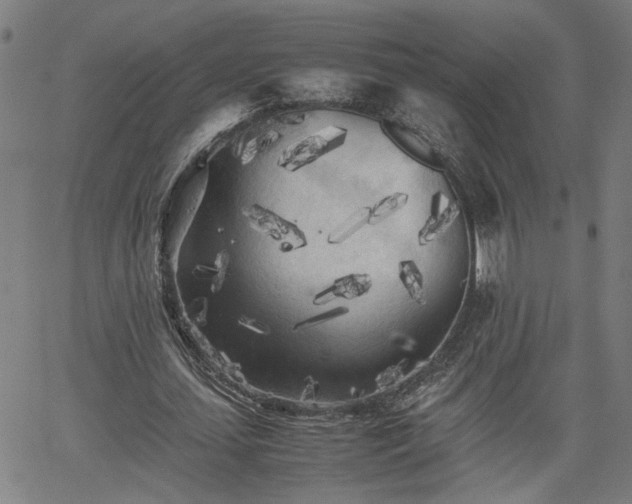 X0000062170627200512161252