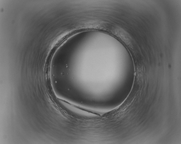 X0000062170628200512161252