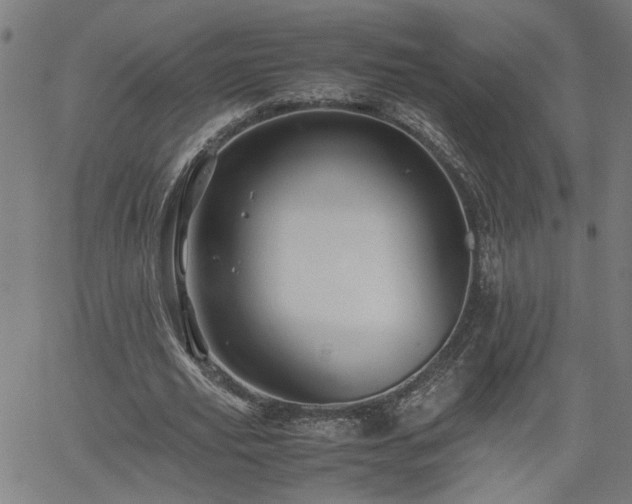 X0000062170629200512161252