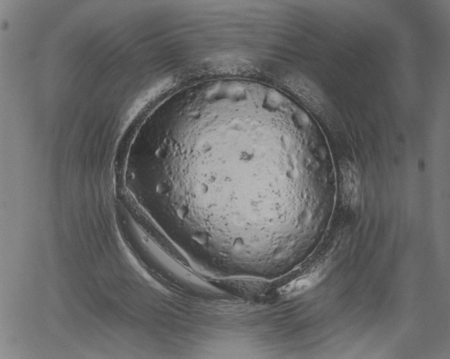 X0000062170630200512161252