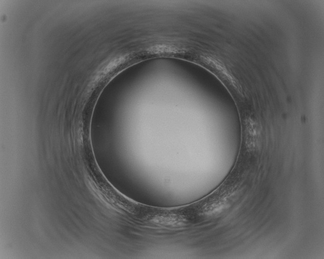 X0000062170631200512161252