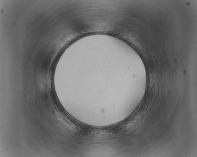 X0000062170632200512161252