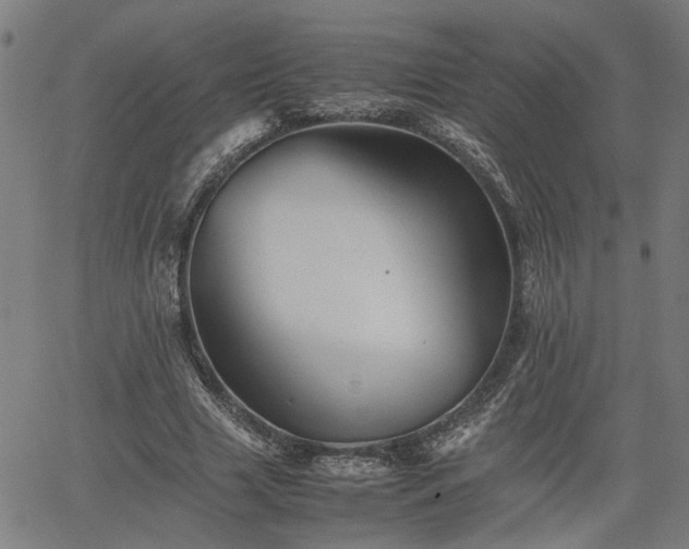 X0000062170633200512161252