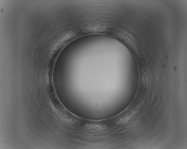 X0000062170635200512161252