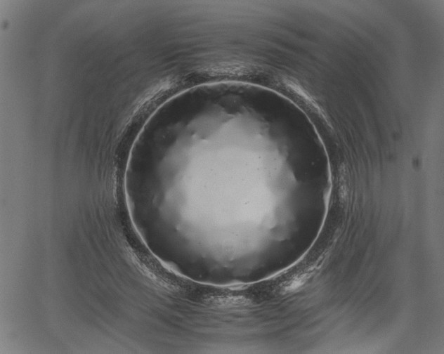 X0000062170637200512161252