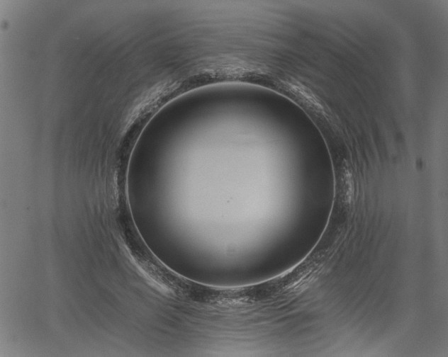 X0000062170638200512161252