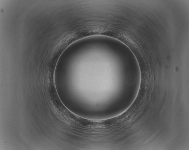 X0000062170639200512161252