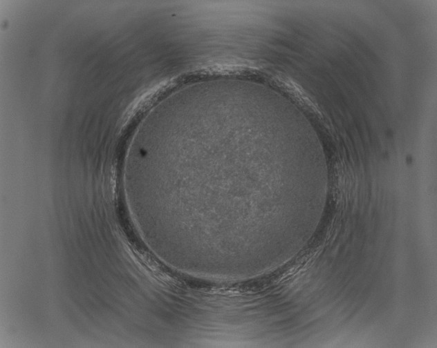 X0000062170640200512161252