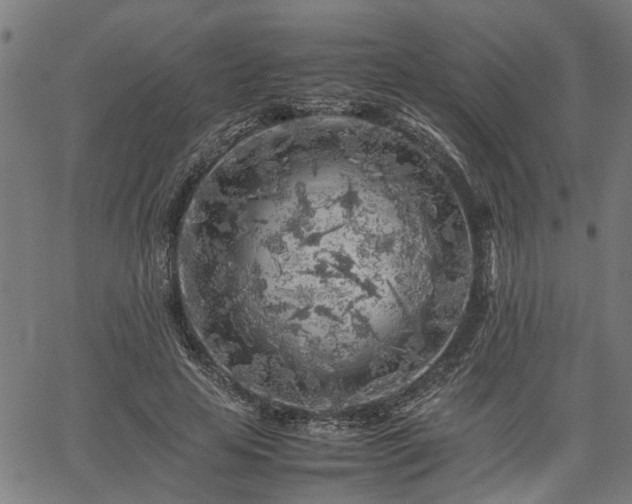 X0000062170641200512161252