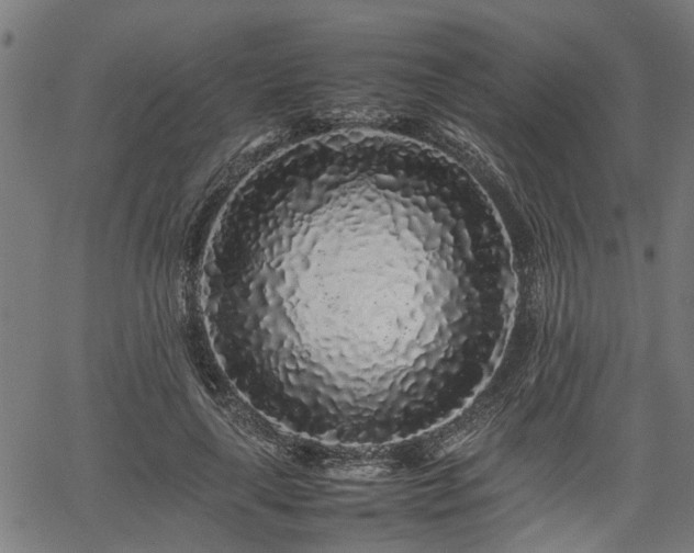 X0000062170643200512161252