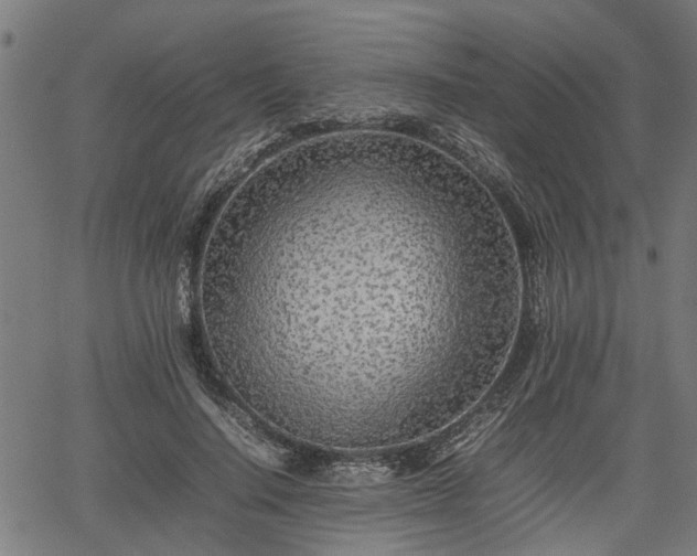 X0000062170644200512161252