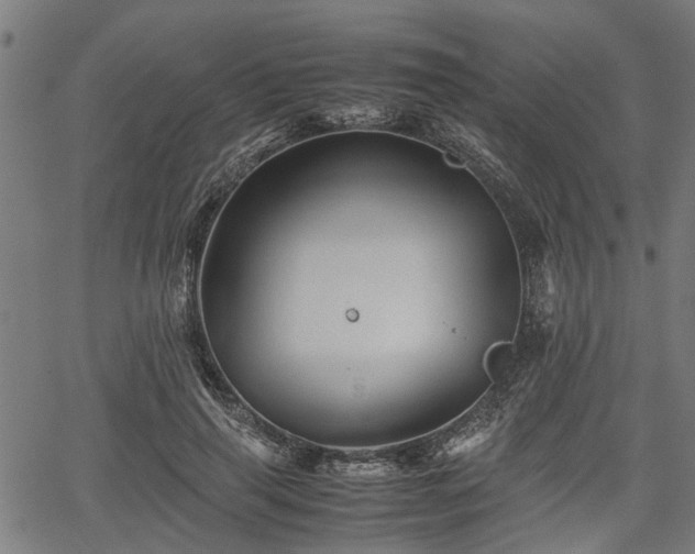 X0000062170645200512161252