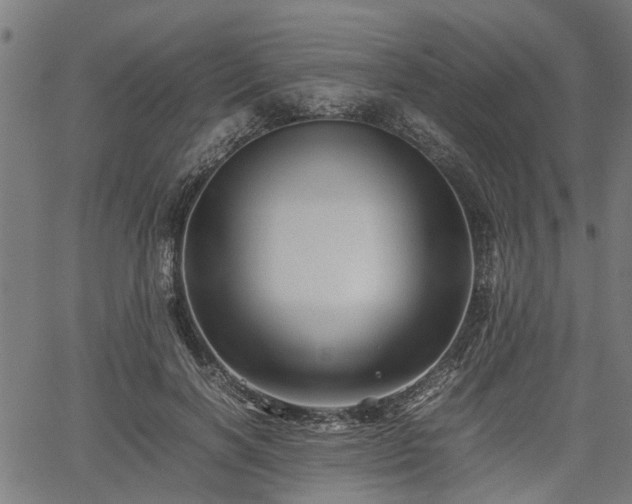 X0000062170646200512161252