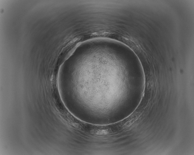 X0000062170647200512161252