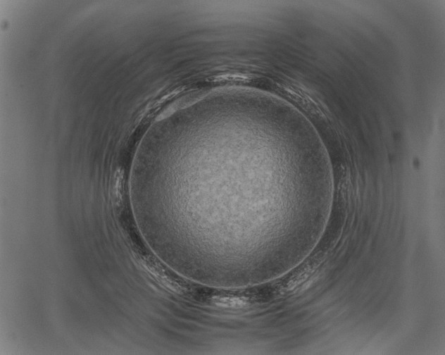 X0000062170649200512161252