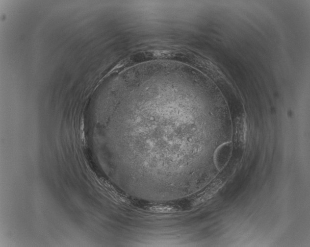 X0000062170650200512161252