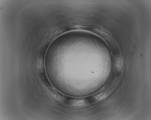 X0000062170651200512161252