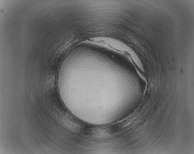 X0000062170652200512161252