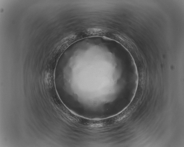 X0000062170653200512161252