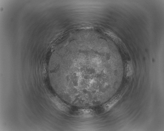 X0000062170654200512161252