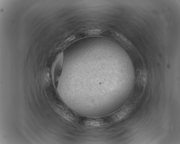 X0000062170655200512161252