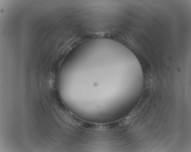 X0000062170656200512161252