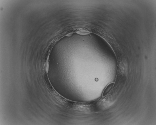 X0000062170657200512161252