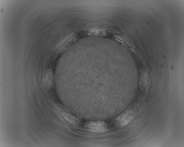 X0000062170659200512161252