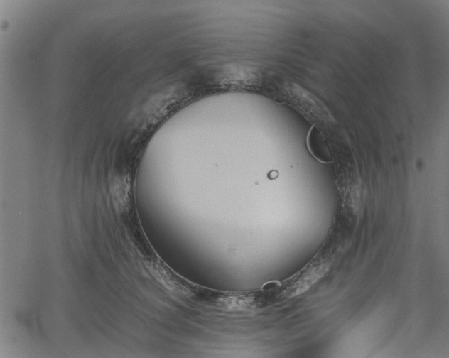 X0000062170660200512161252