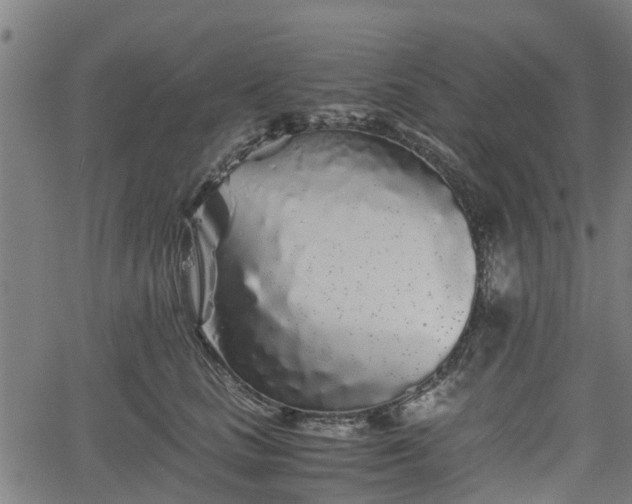 X0000062170661200512161252