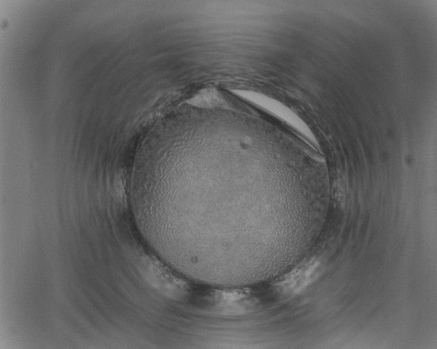 X0000062170662200512161252