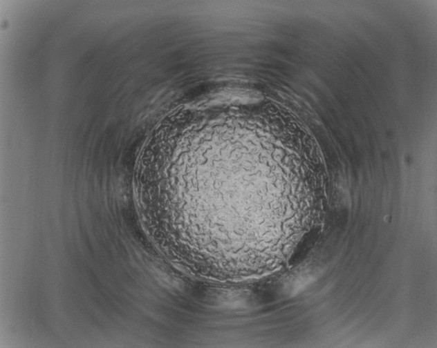 X0000062170663200512161252