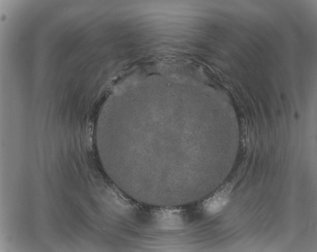 X0000062170664200512161252