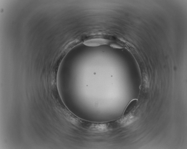 X0000062170665200512161252