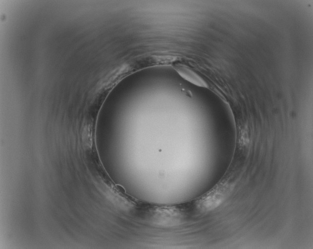 X0000062170666200512161252