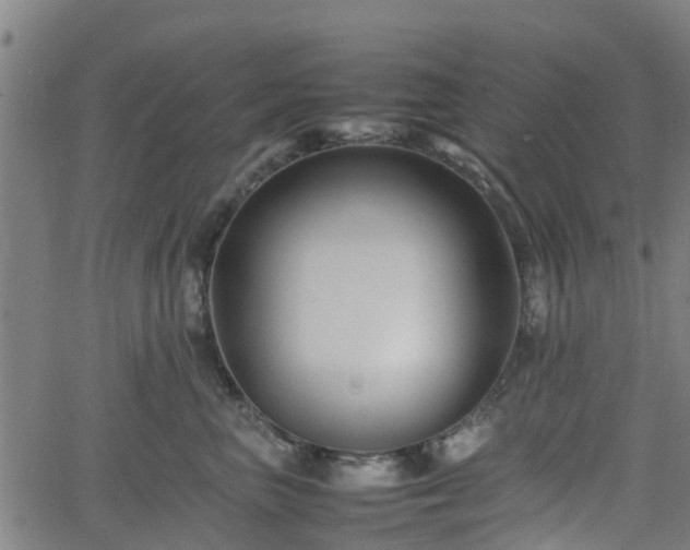 X0000062170667200512161252