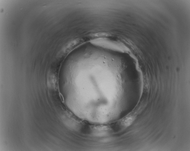 X0000062170669200512161252