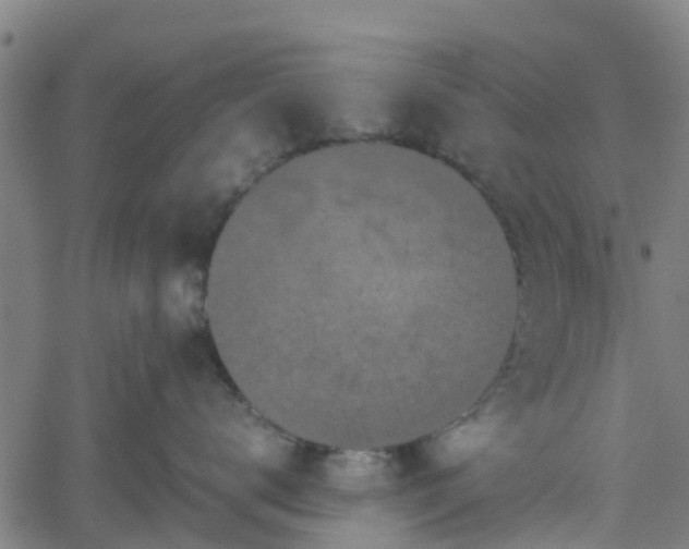 X0000062170672200512161252