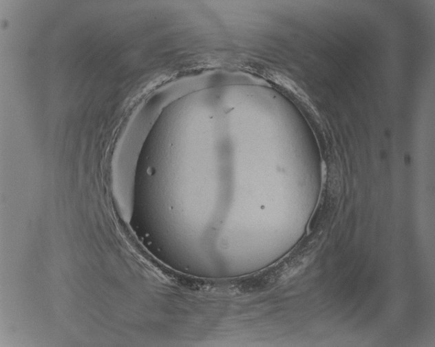 X0000062170673200512161252