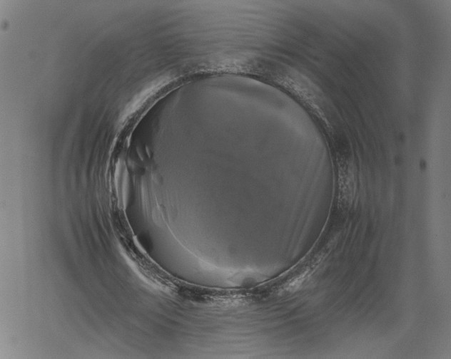 X0000062170674200512161252