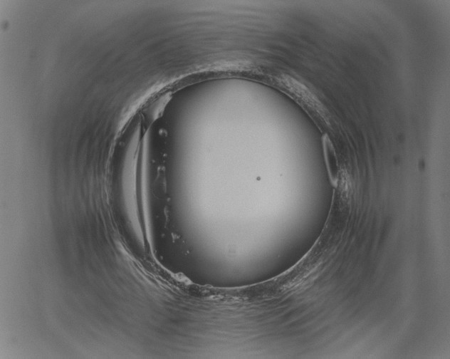 X0000062170676200512161252