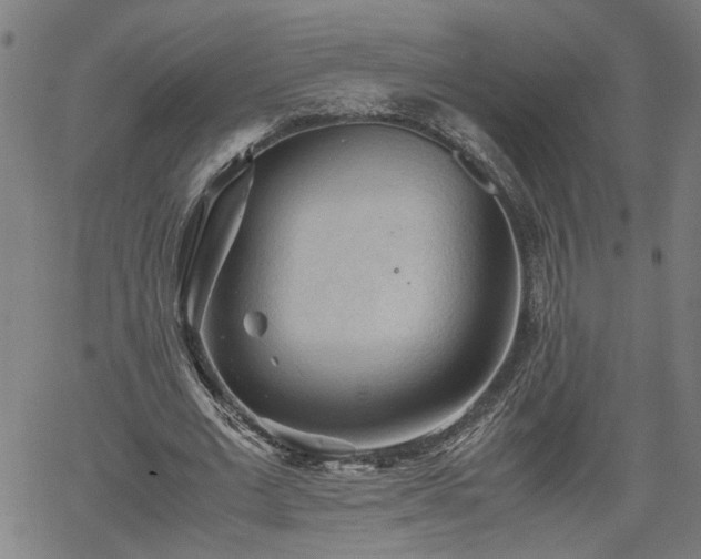 X0000062170677200512161252