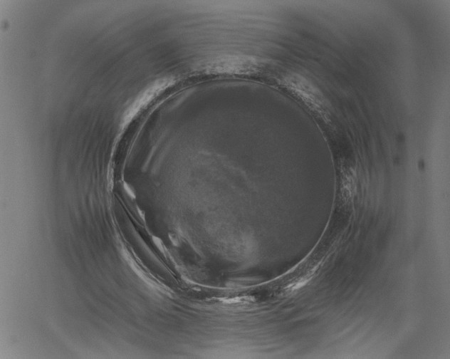 X0000062170678200512161252