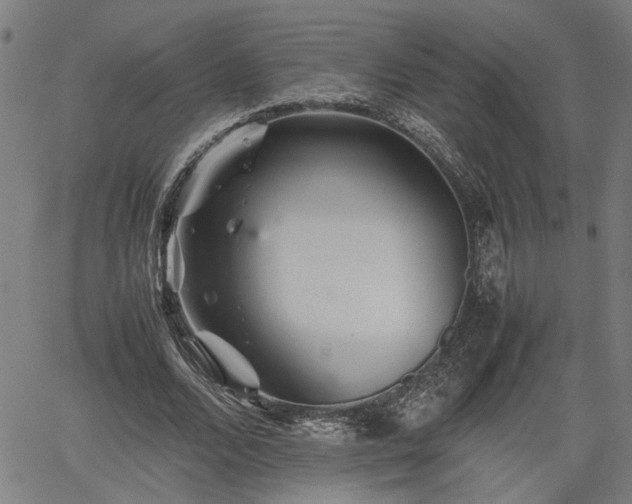 X0000062170680200512161252