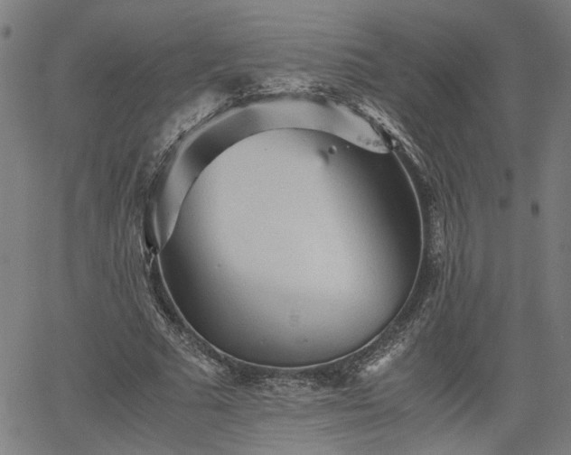 X0000062170681200512161252