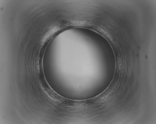 X0000062170682200512161252