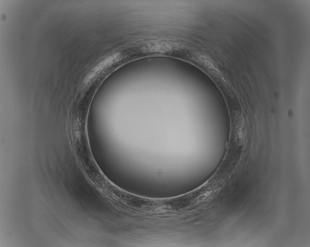 X0000062170683200512161252